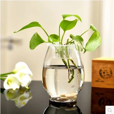 Vase Clear Dinosaur Egg Shape Decoration Hydroponic Glass Polished Blow Carton Packaging Simple Borden Style