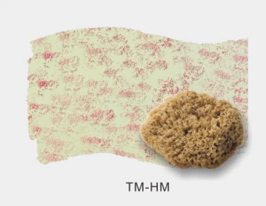 wall decorative natural sea sponge wall texture design hand paint tools sea sponge paint roller brushes