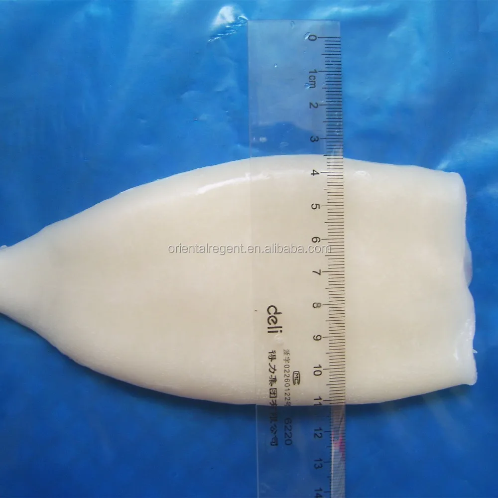 
exporting block frozen squid tube chinese factory 
