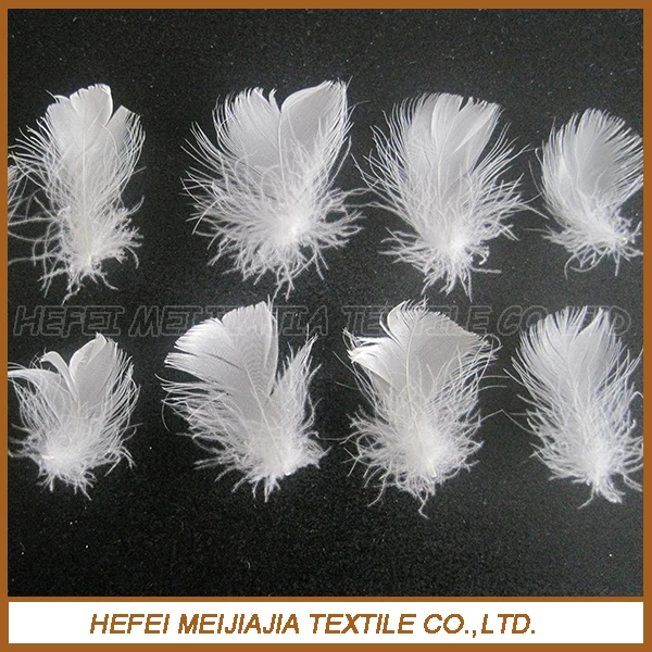 Class one and competitive price goose down feather