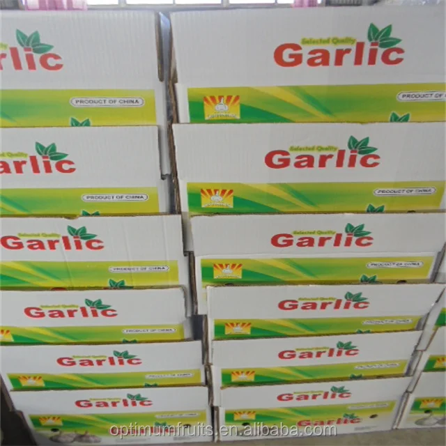 Fresh Alho Chinese 4p Pure White Garlic Seeds for Sale to Dubai Market