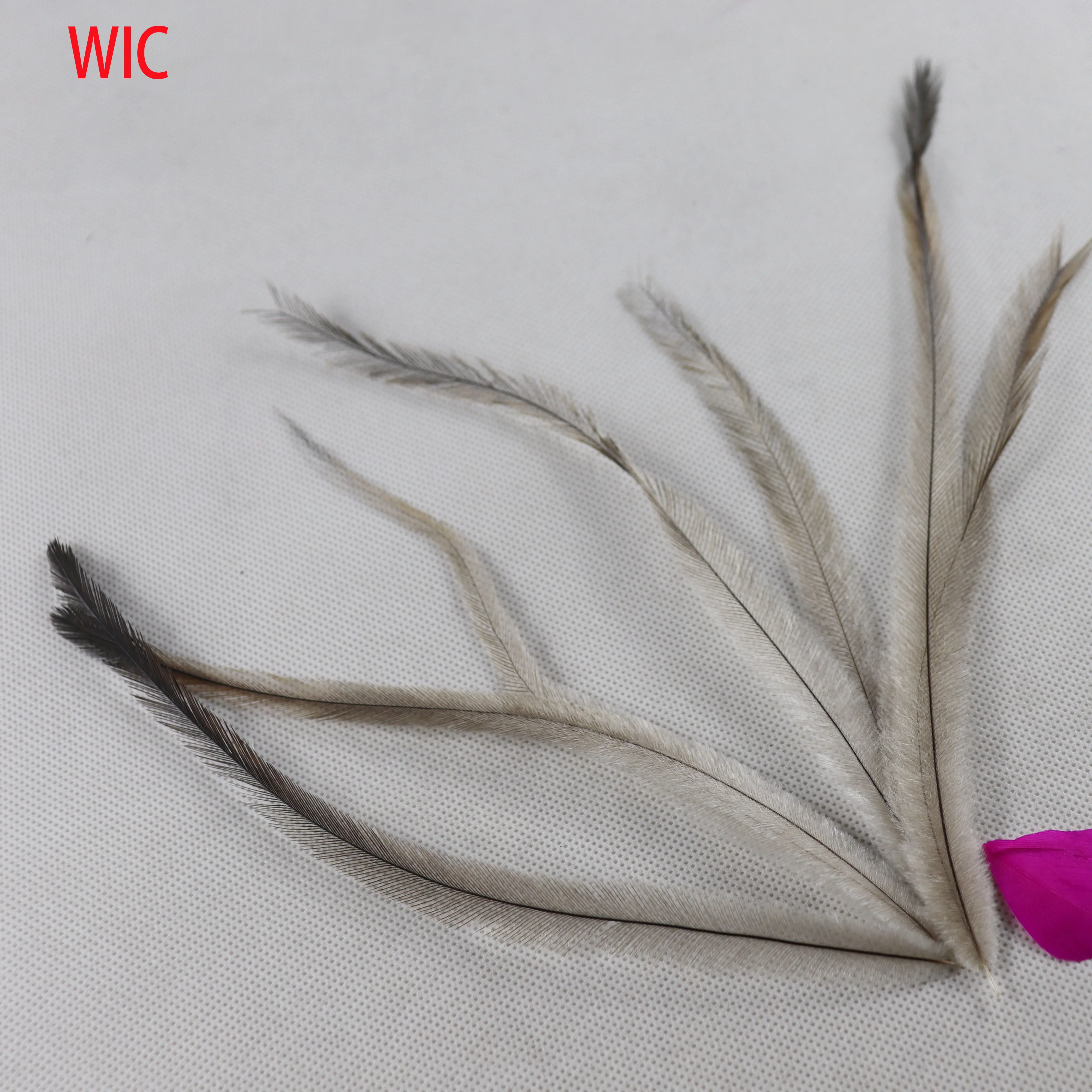 emu feathers for Feather Extensions