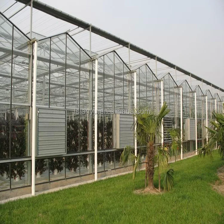 
cheap panel pc agricultural greenhouses for tomato 
