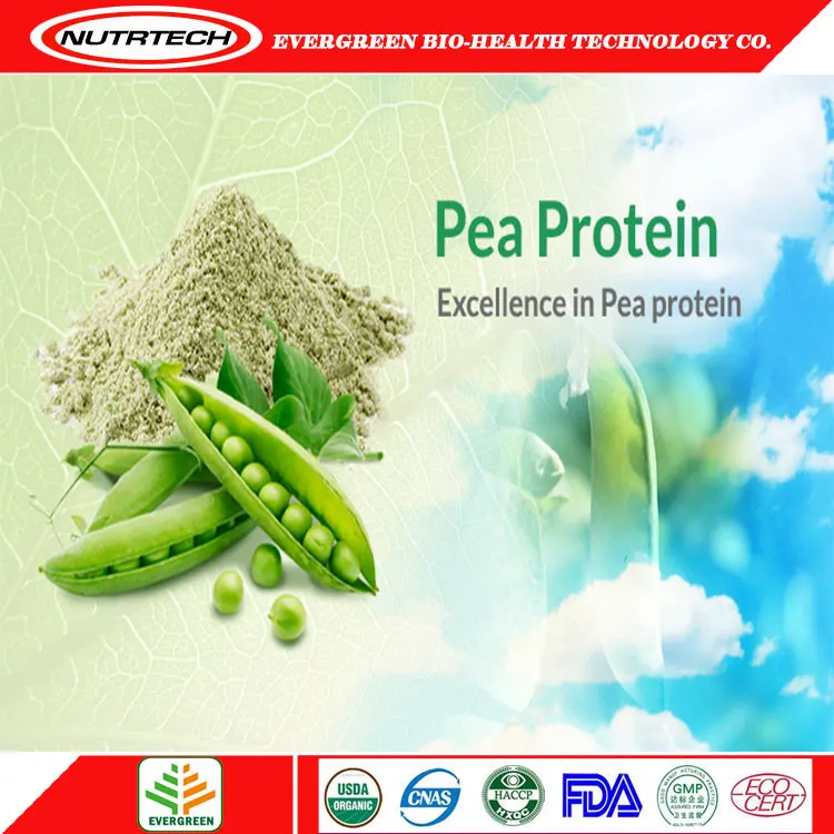 ECO BRC Certification Organic Pea Protein Extract Powder
