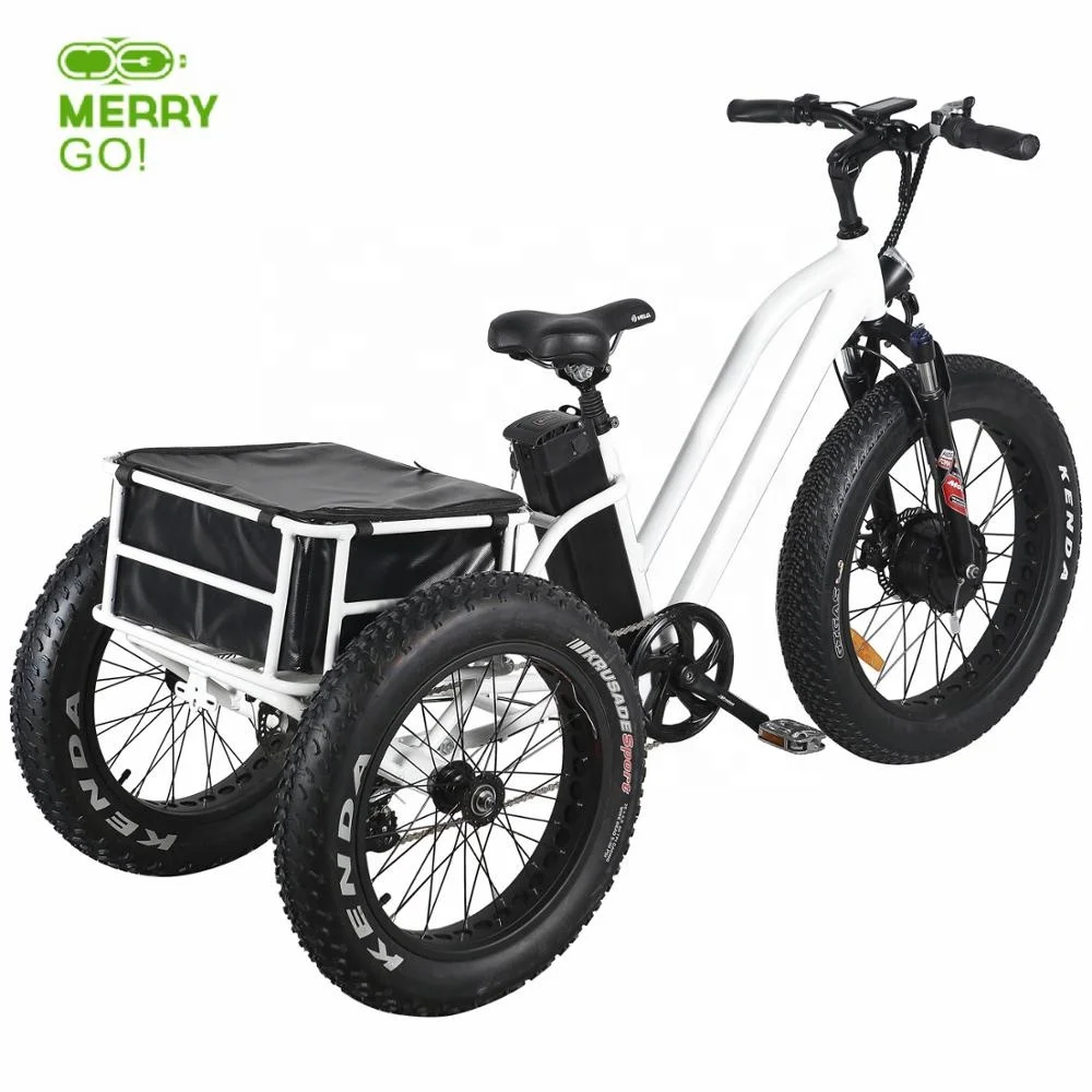 2021 Popular 48v 500w 750w  motor electric bicycle scooters  fat cargo bike