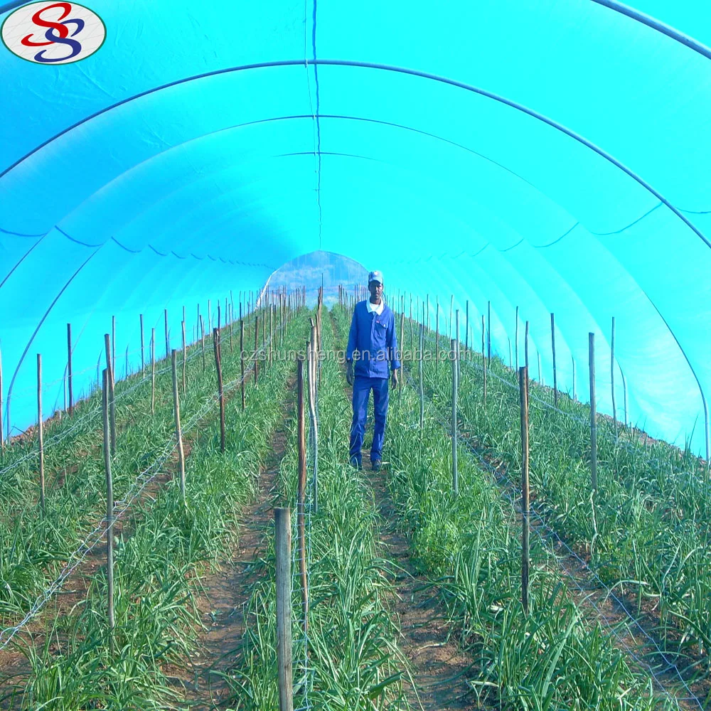 Changzhou Uv Agriculture 100% virgin mono Shade Net For Greenhouse