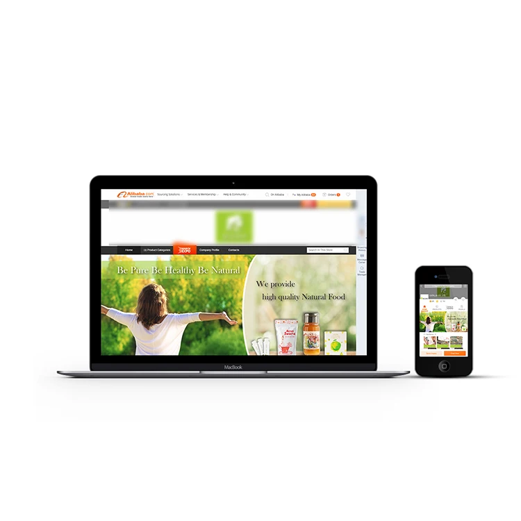 
Alibaba Mini Site Web Page Designing 