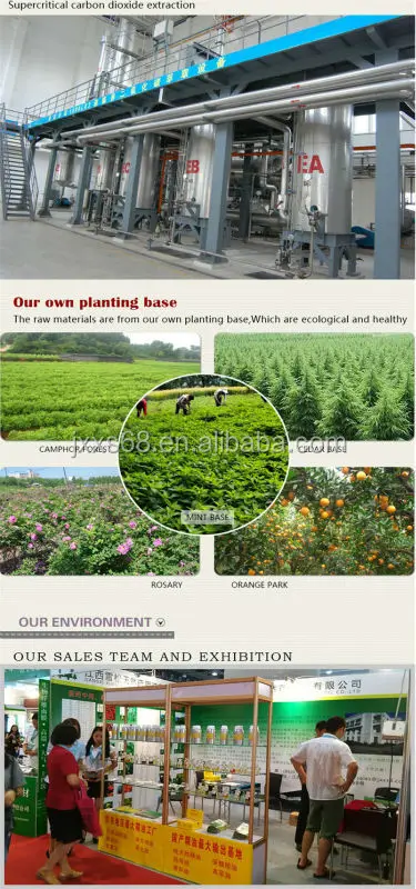 Natural Castor Oil, Castor Seed Oil Price Industry Oil