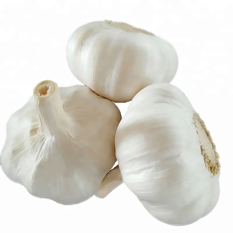 Hot Sale Super Quality 5.5cm 10Kg Carton Box Whites Fresh Garlic For Israel