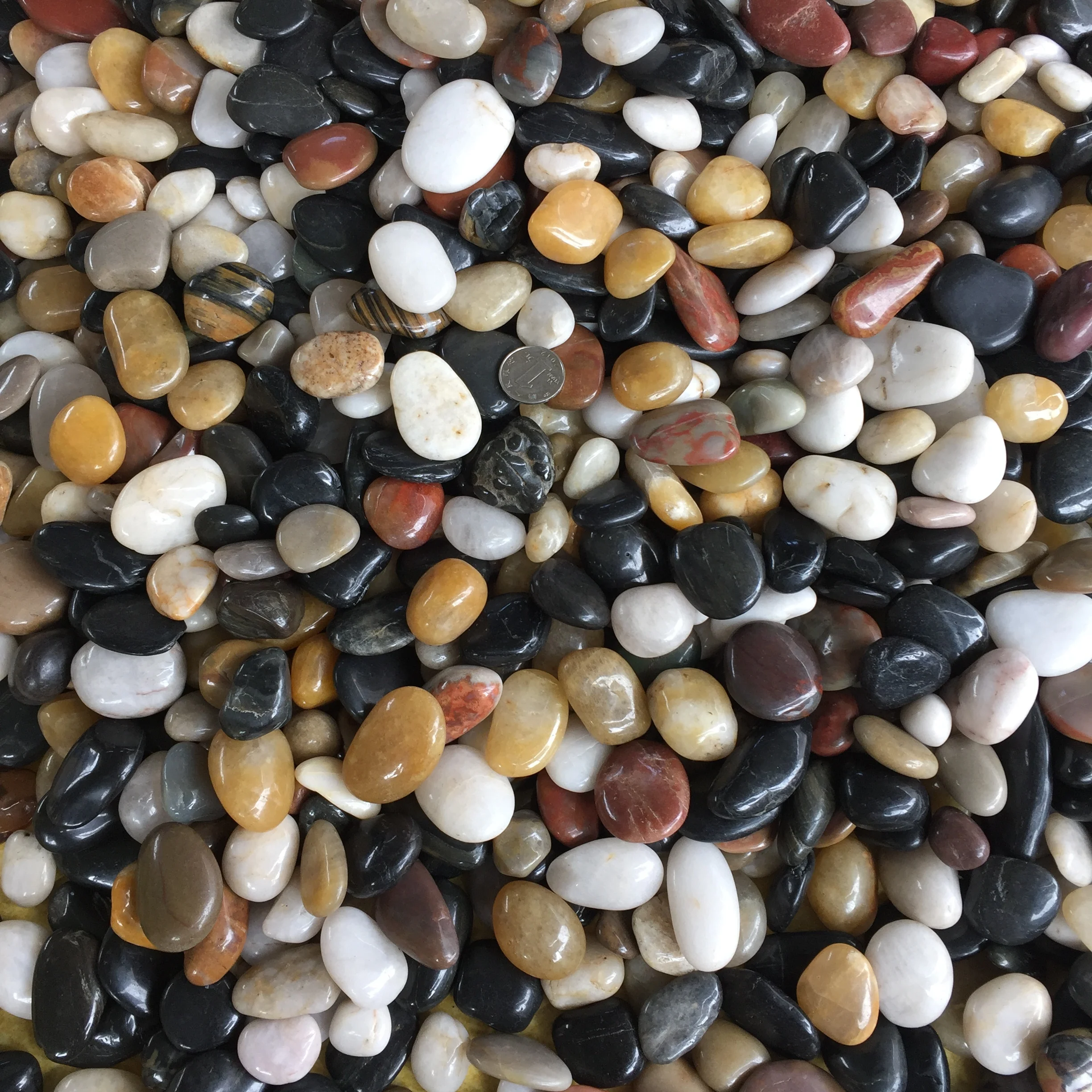 Natural White Polished Cobble Stone Outdoor Application Pebbles for Gardens Playground River Bed Polished White Pebble Stone