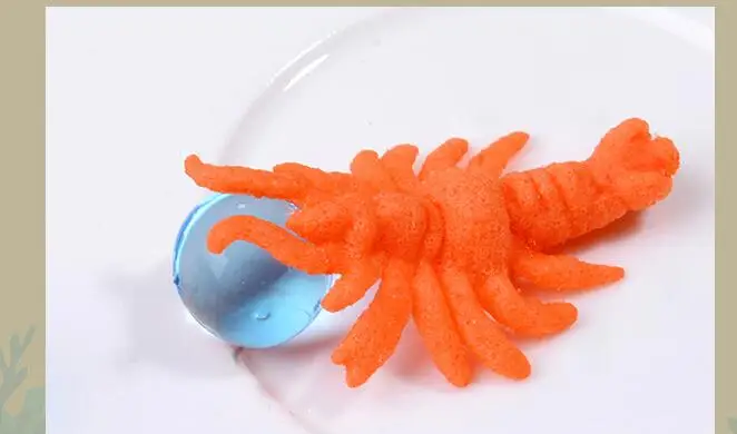 New Design Insects Shapes Water Growing Toys Sensory Growing Expansion Bath Toys