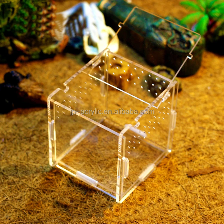 
Acrylic Small Pet Cage Mini Animal Pet Insects Reptiles Terrarium Reptiles Box 