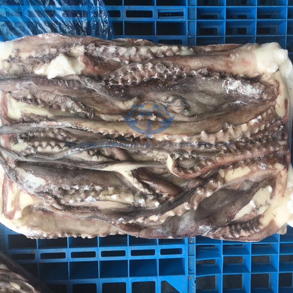 
giant squid frozen tentacles of squid 