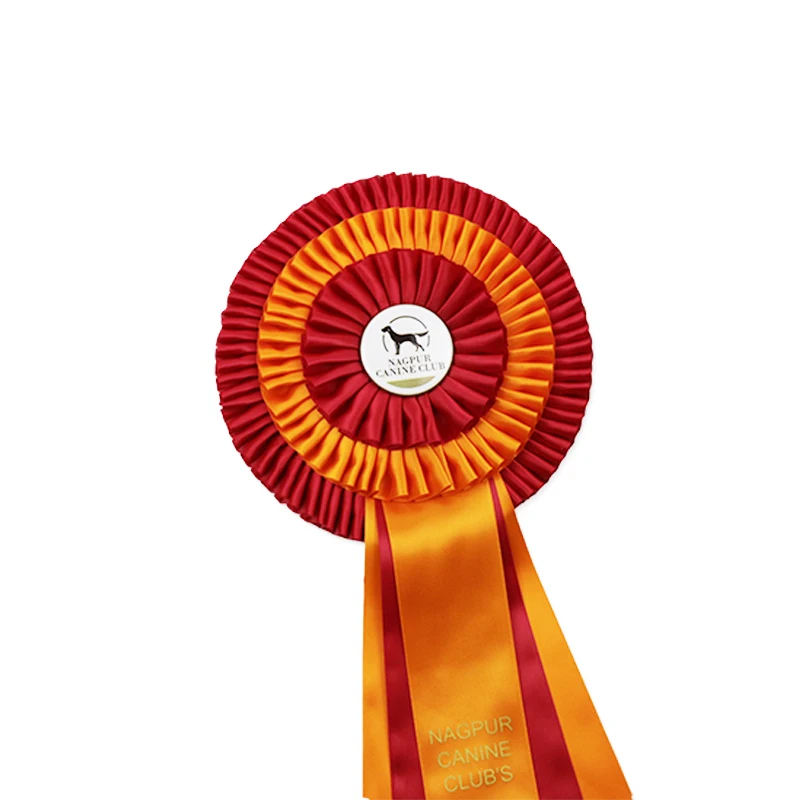 Лошадь шоу набор лент