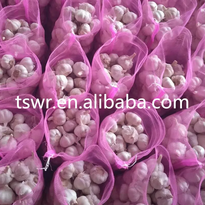 
cold storage garlic high quality garlic 2020 crop 