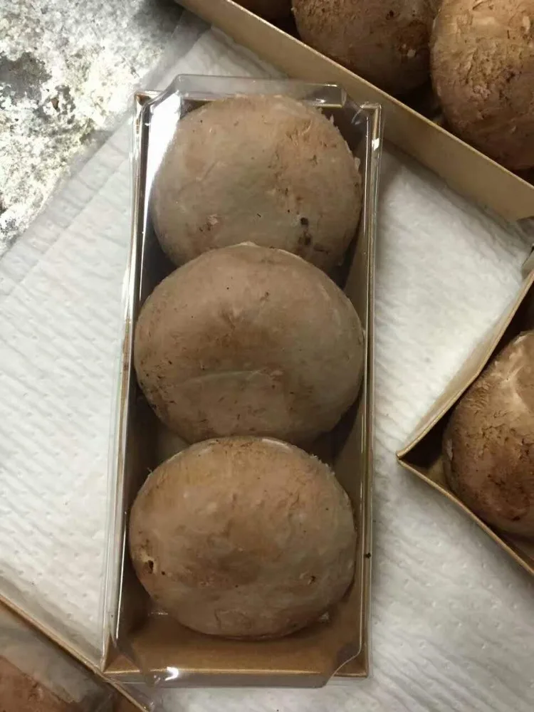 Detan Fresh Portobello Chinese Mushrooms