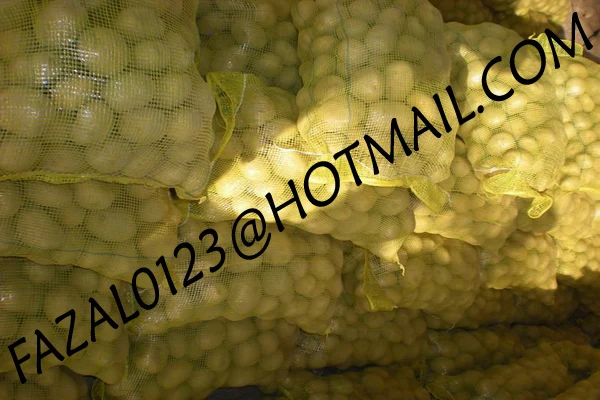 
BANGLADESHI HIGH QUALITY FRESH GRANOLA POTATO AND DIAMOND POTATO FROM EXPORT TRADE ASSOCIATE WITH CHEAP PRICE 