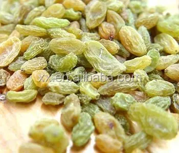 
chinese sun dried xinjiang green raisins for export 