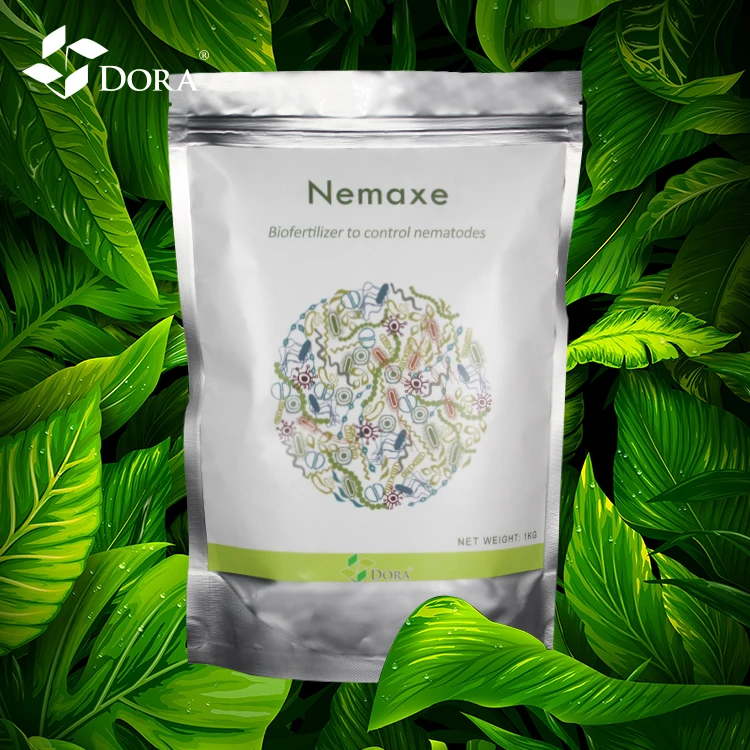 Dora Nemaxe - a good bio fertilizer or nematode pesticide to control knot and cyst nematodes in soil