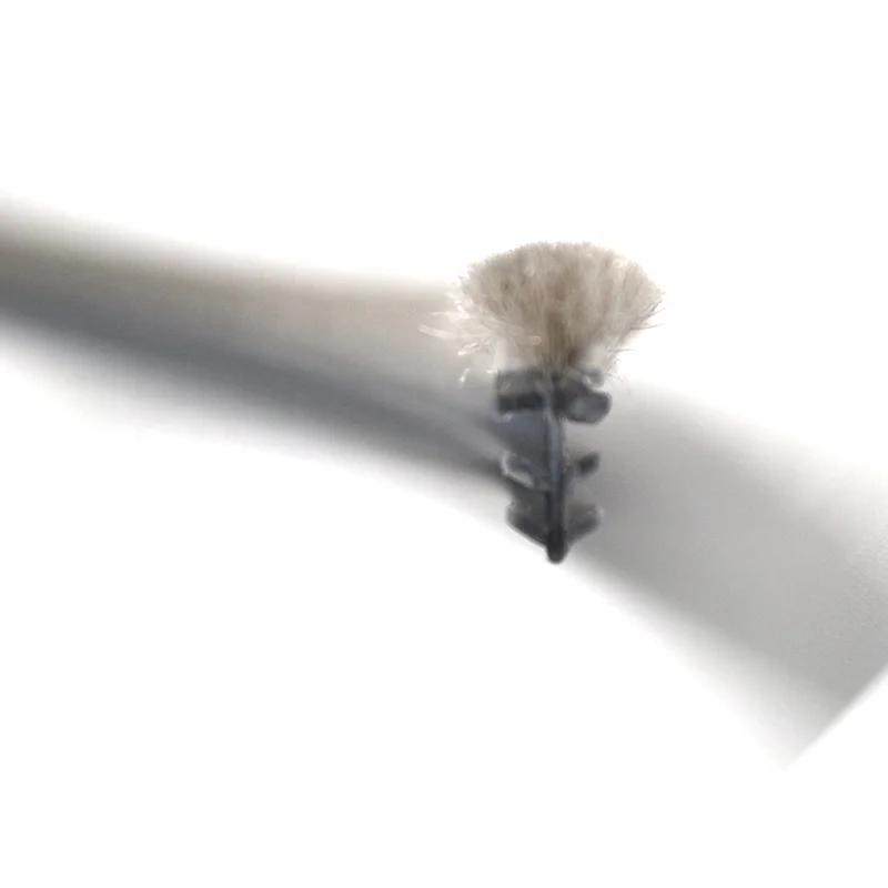 Kerf mounted pile weatherstripping