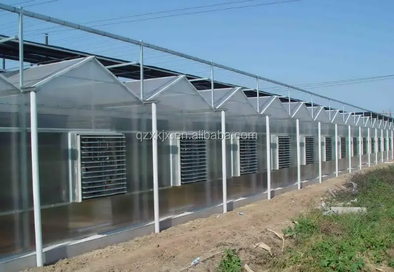 
China hot sale agricultural greenhouse multi span green house polycarbonate green house 