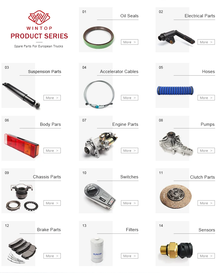 OEM 1541106 1431178 European Truck Body Spare Parts Window Cleaning Windshield Arm Wiper Blade