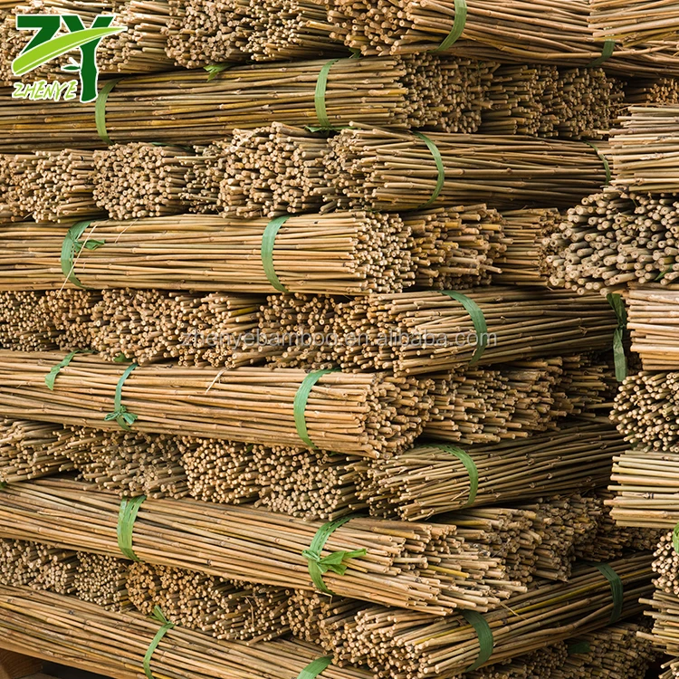 
HOT!!! ZY-1005 Bamboo Sticks Wholesale Price Bamboo Tonkin Sticks Cheap Bamboo Sticks 
