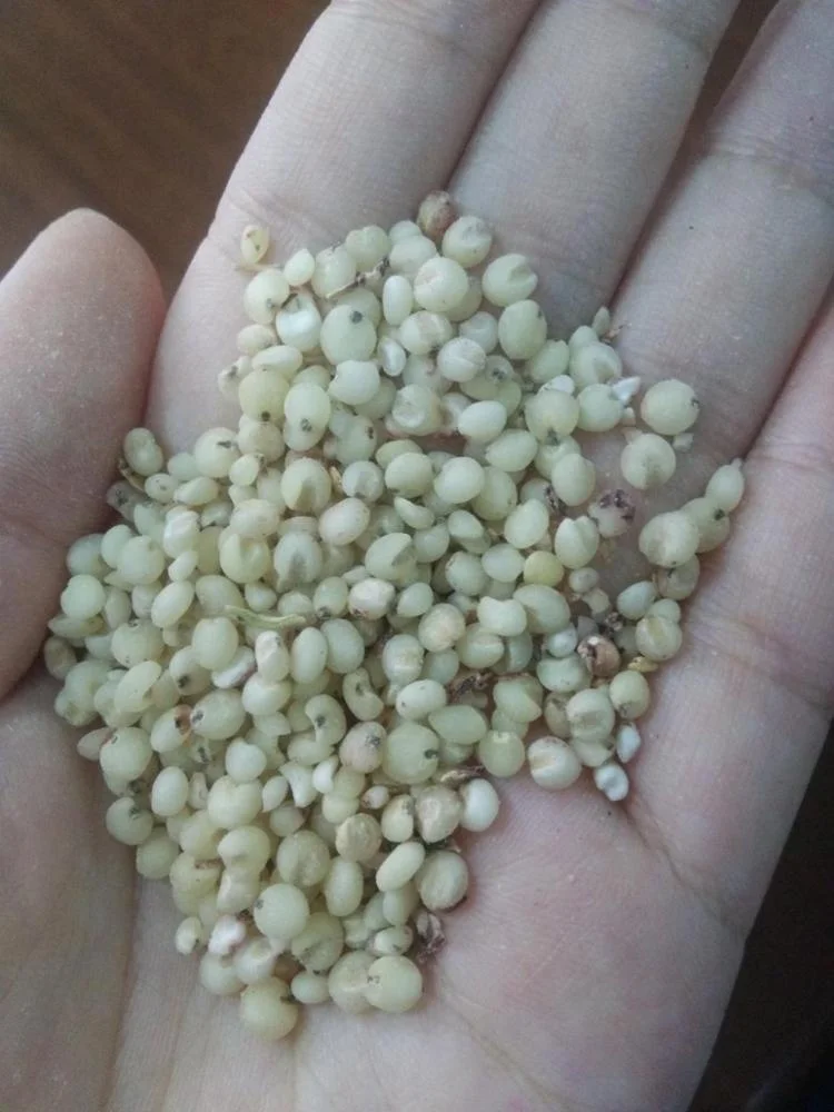 Оборудование для переработки сорго из Ботсваны, машина для переработки сорго