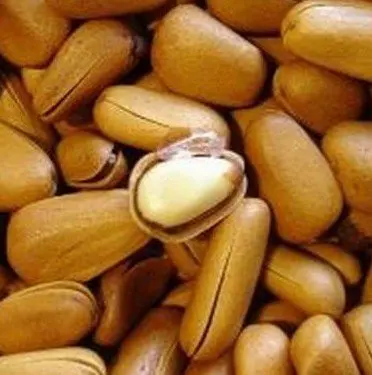 Pine Nuts Oil Bulk Factory Supply Nutritional Oils For Cooking And Healthcare PLA 15%