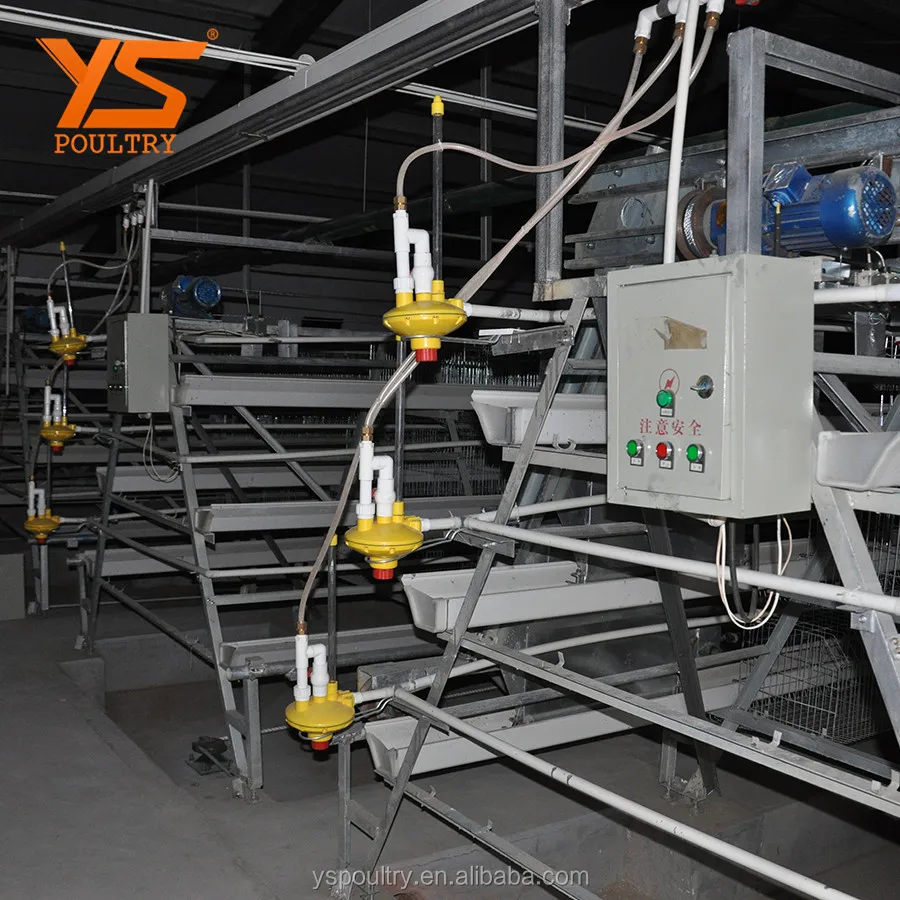 
A Type Automatic Chicken Layer Coop 