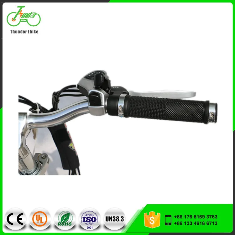 20Inch Hidden Battery Foldable Ebike With Front Rear Disc Brake (THP-E053)
