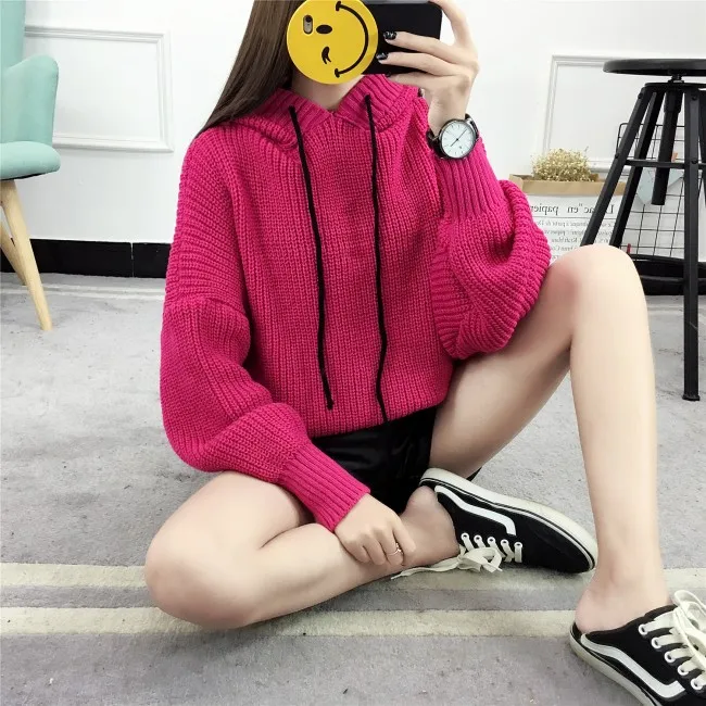 
2019 New arrival autumn winter knitted hooded sweater 