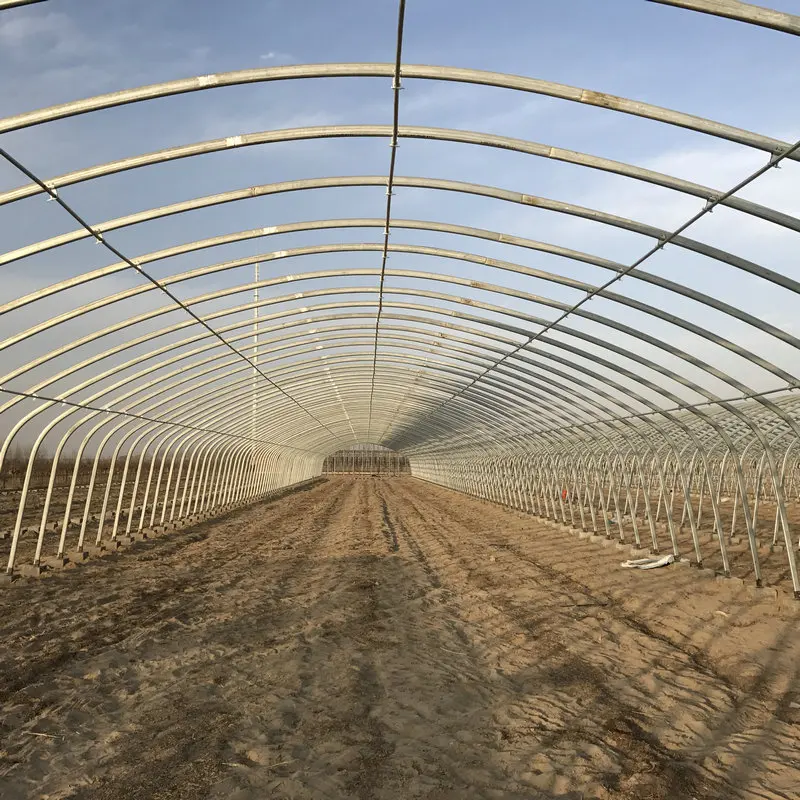 commercial greenhouse for chickens