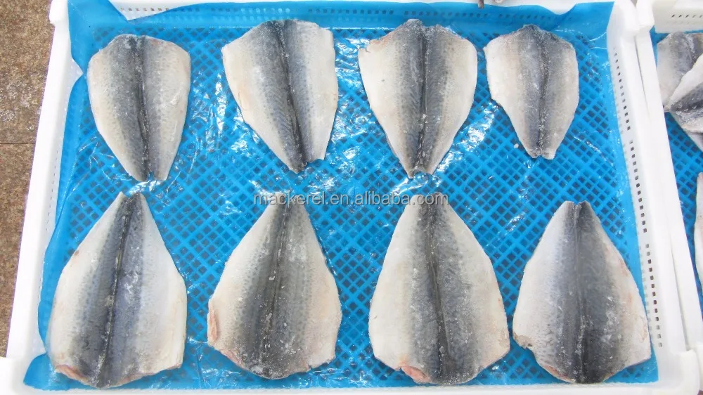 Cheap Price Frozen Mackerel Fish Mackerel Butterfly For EU Market