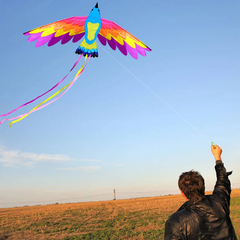 New design beautiful bird phoenix kite for sale