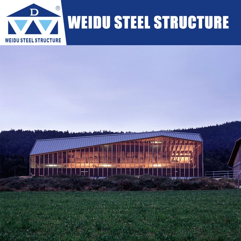 Factory Price Steel Structure Poultry House Chicken Egg Poultry Farm Layer Cage For Sale In African Farm