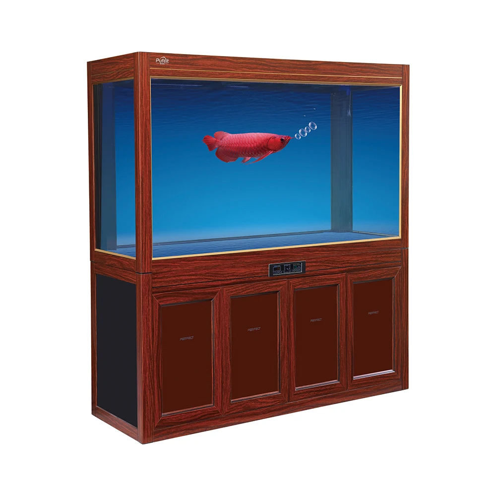 Chinese Supplier Arowana Large Glass Fish Tank