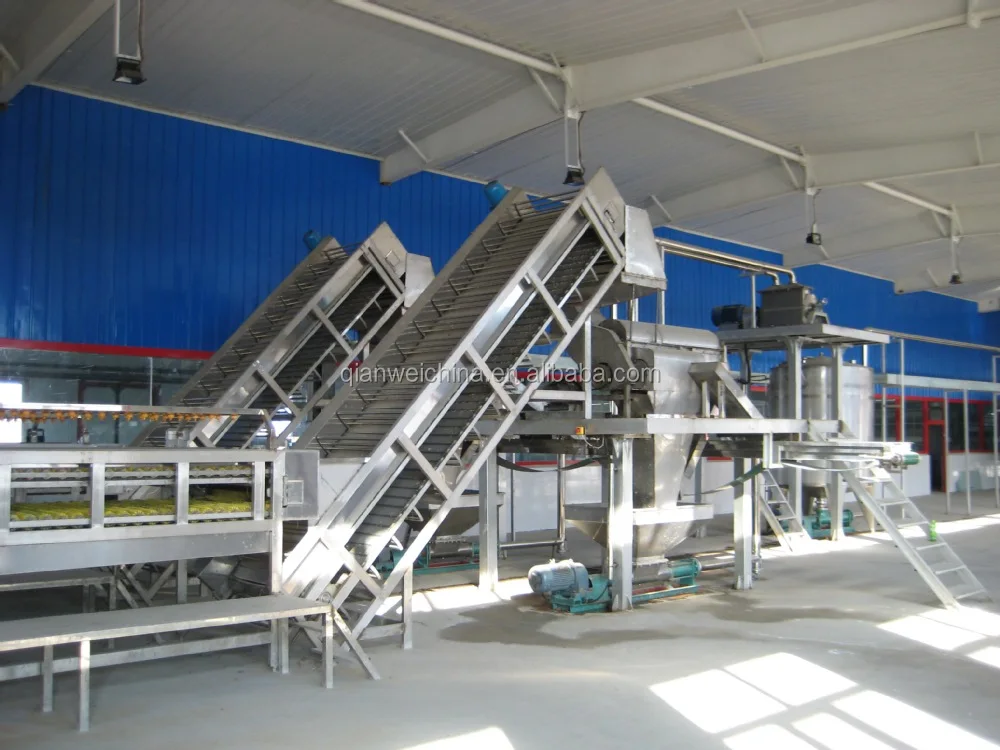 white/pink guava concentrated pulp/puree process production plant