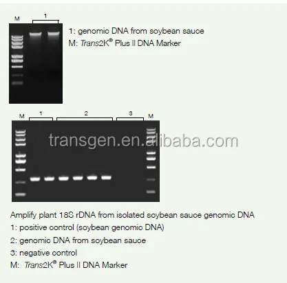 EasyPure Food and Fodder Security Genomic DNA Extraction Kit for Food/Animal Feed Quality and Safety Test Lab