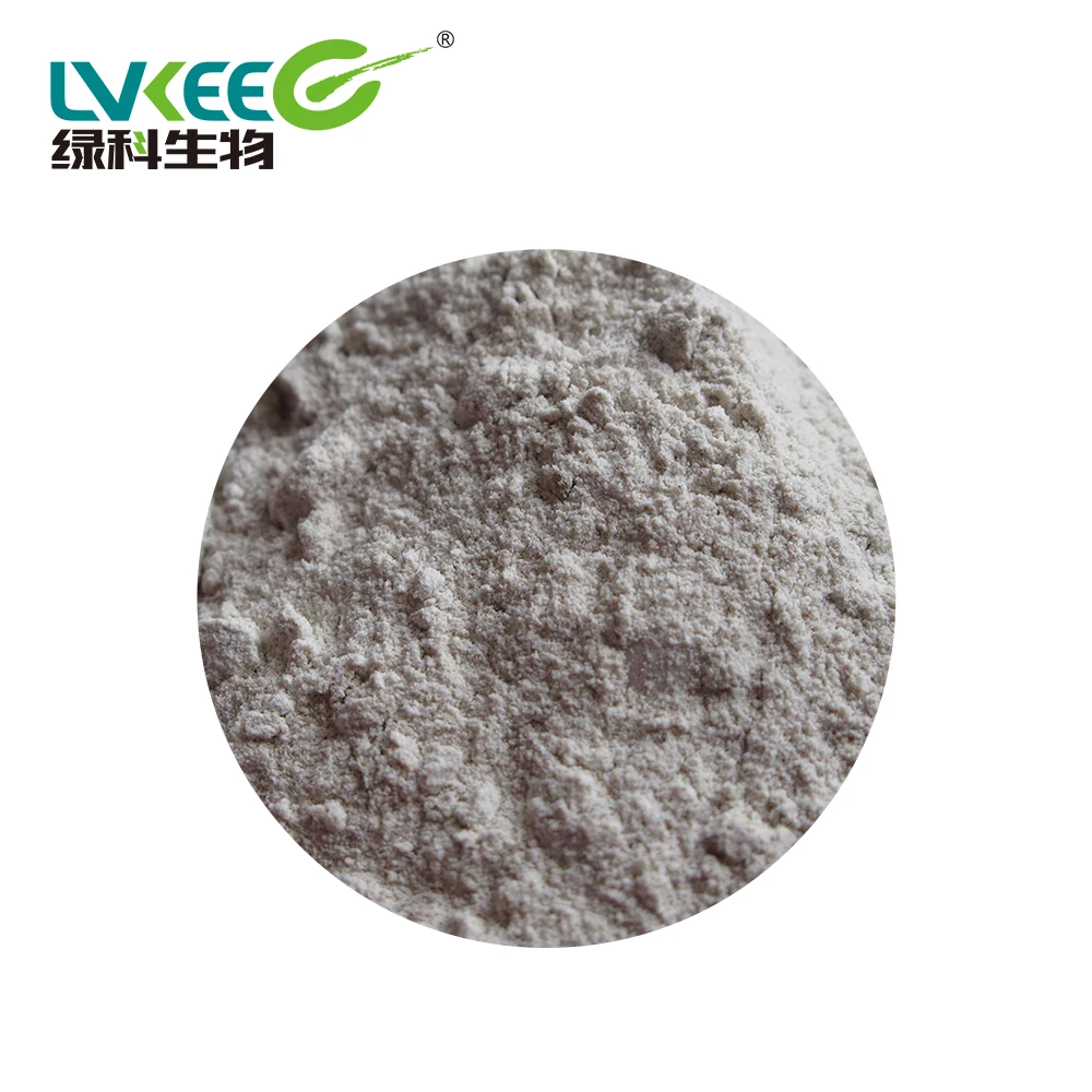 
High quality Probiotics Bacillus Subtilis for Animal Poultry feed additive 