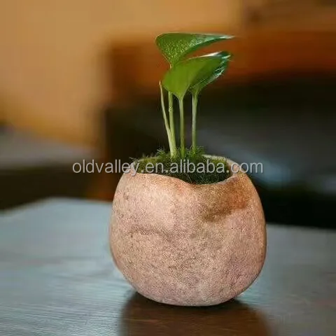 
 Натуральные кастрюли и настольные кастрюли/Подарочная раковина/Набор для стола  