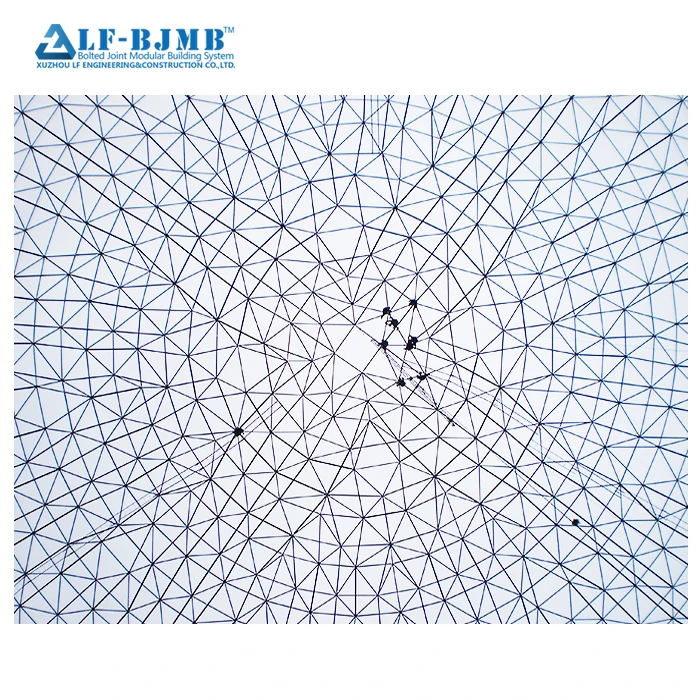 New Design Steel Grid Dome Structure With Best Price