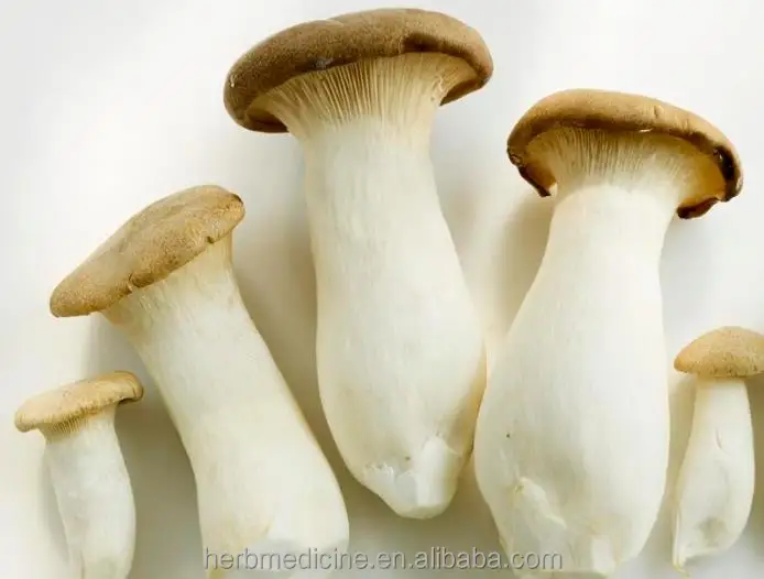 
Pleurotus eryngii dried mushrooms Boletus of the steppes King Oyster Mushroom slices for food 