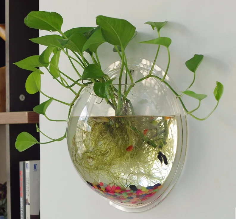 Современный индивидуальный Настенный Прозрачный Круглый акриловый аквариум