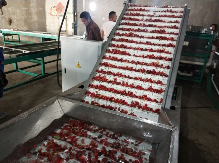 Electronic cherry ,blackberry sorting machine JZW-100g