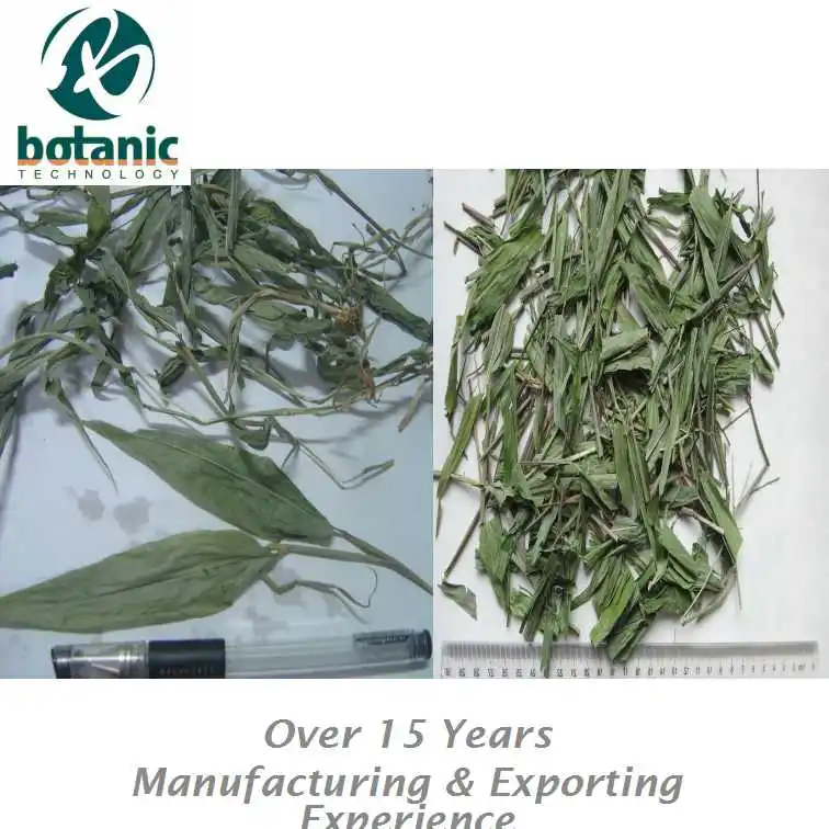 
Black Henon bamboo powder Lophatherum gracile Folium lophatheri Herba Munro Bambusa puberula Phyllostachys nigra glauca 