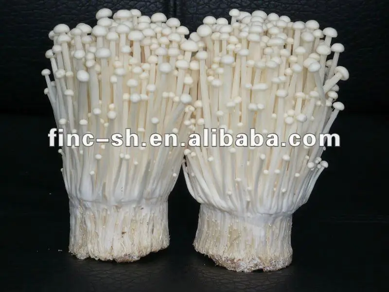 mushroom enoki