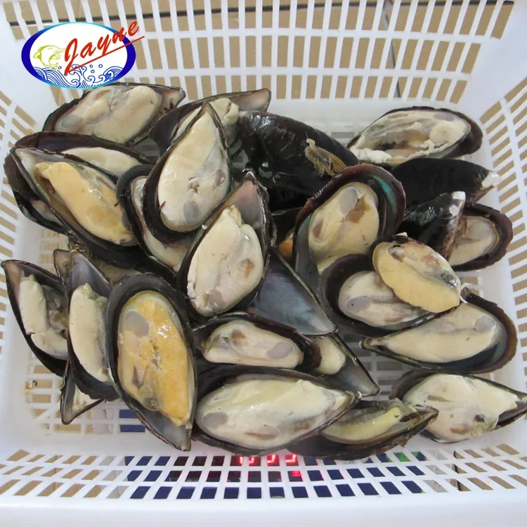  Низкая цена морепродукты моллюсков замороженная полускорлупа