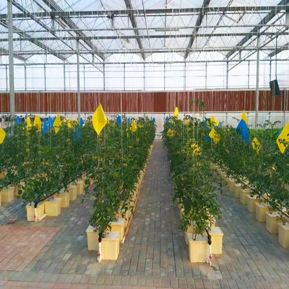 Dutch Bucket Hydroponic System Complete Bato Buckets System