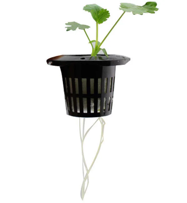 Agriculture Greenhouse Household Gardening White And Black Plastic Hydroponic Pots